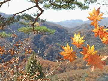 银川最新动态，城市发展与民生改善同步前行